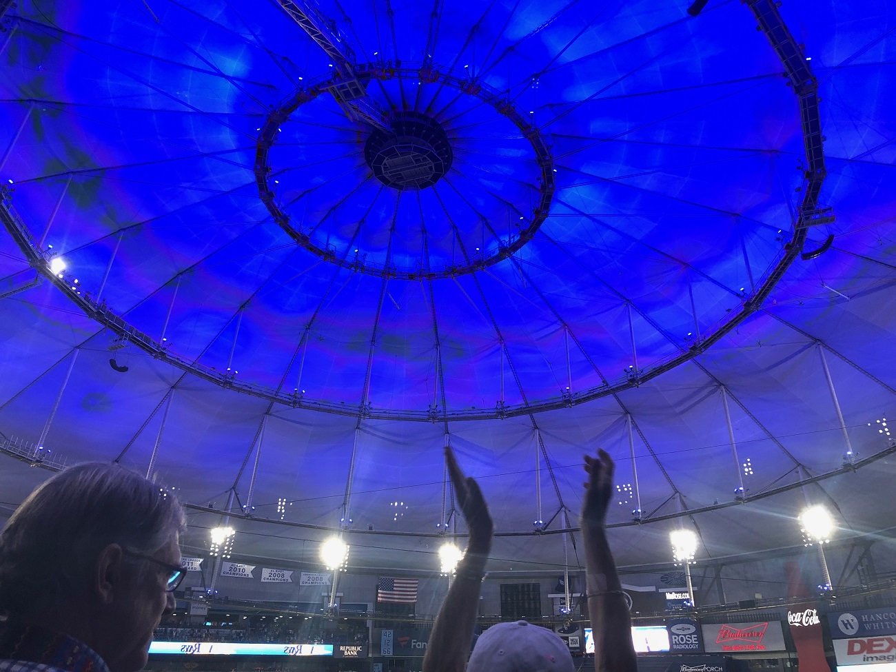 Blue Roof at Tropicana Field
