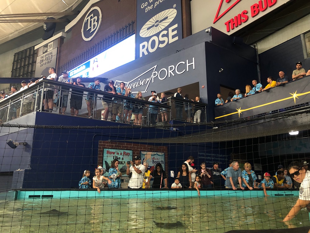 Rays Party Deck and Rays Tank