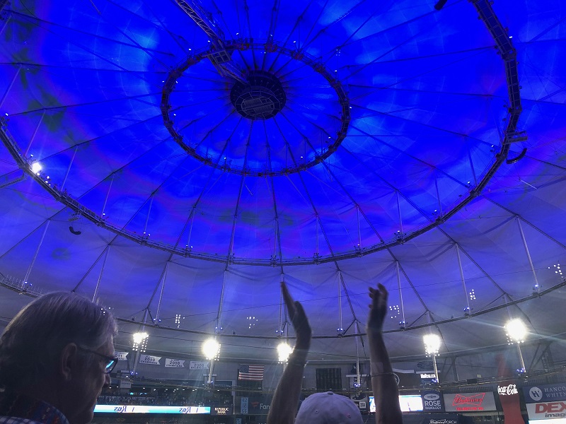 What is the Average Game Day Attendance at Tropicana Field